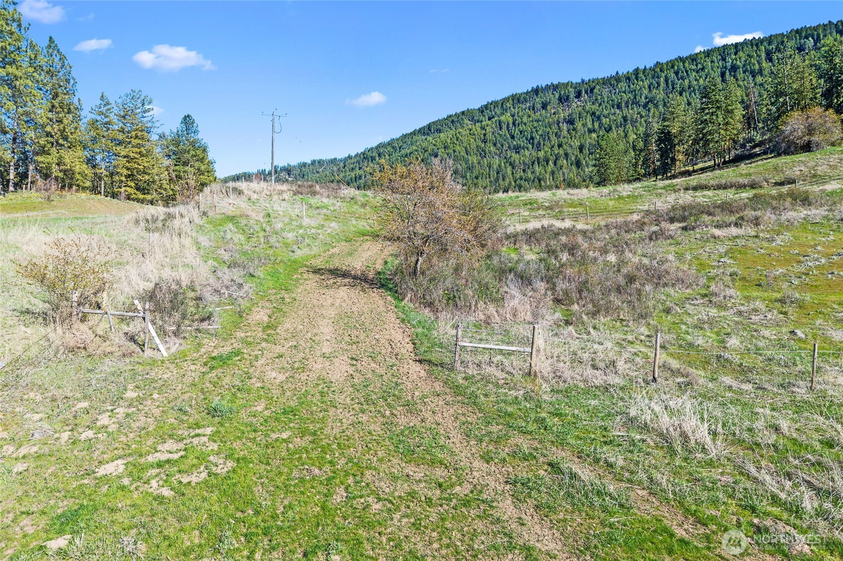 37 Xx Cedonia-addy Road Property Photo 13