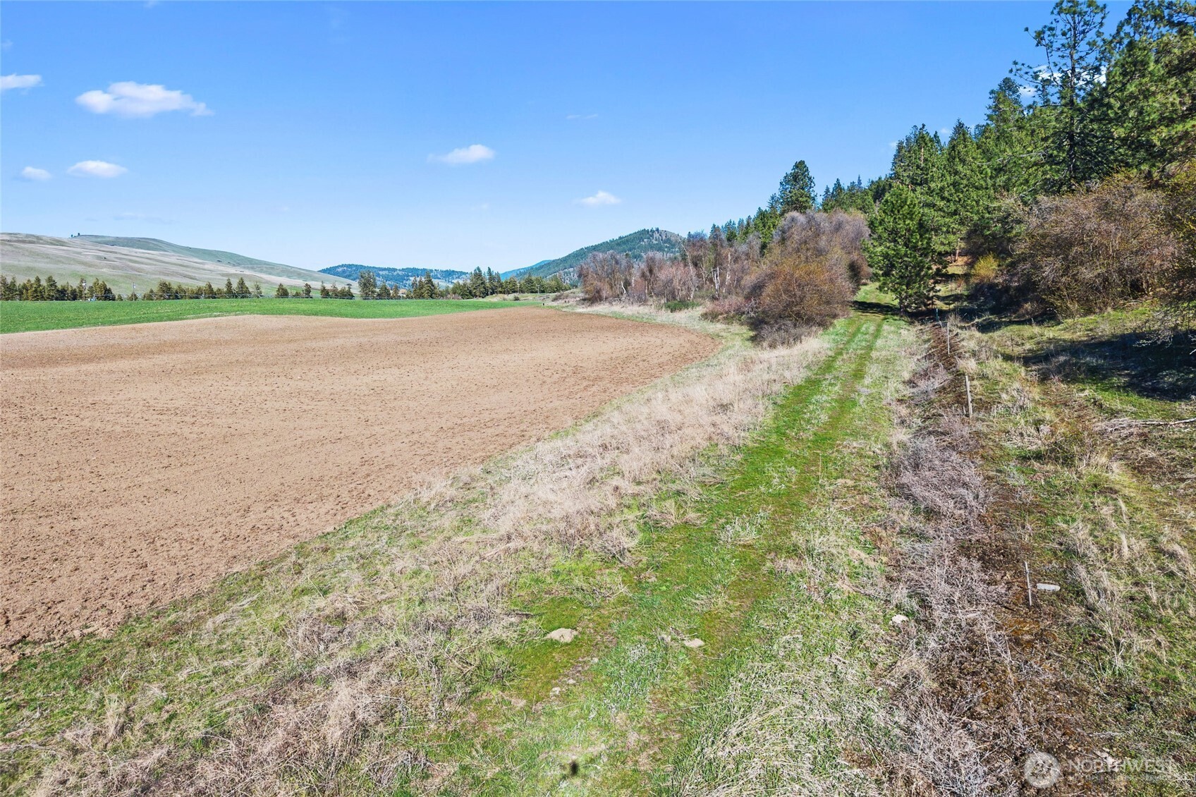 37 Xx Cedonia-addy Road Property Photo 14