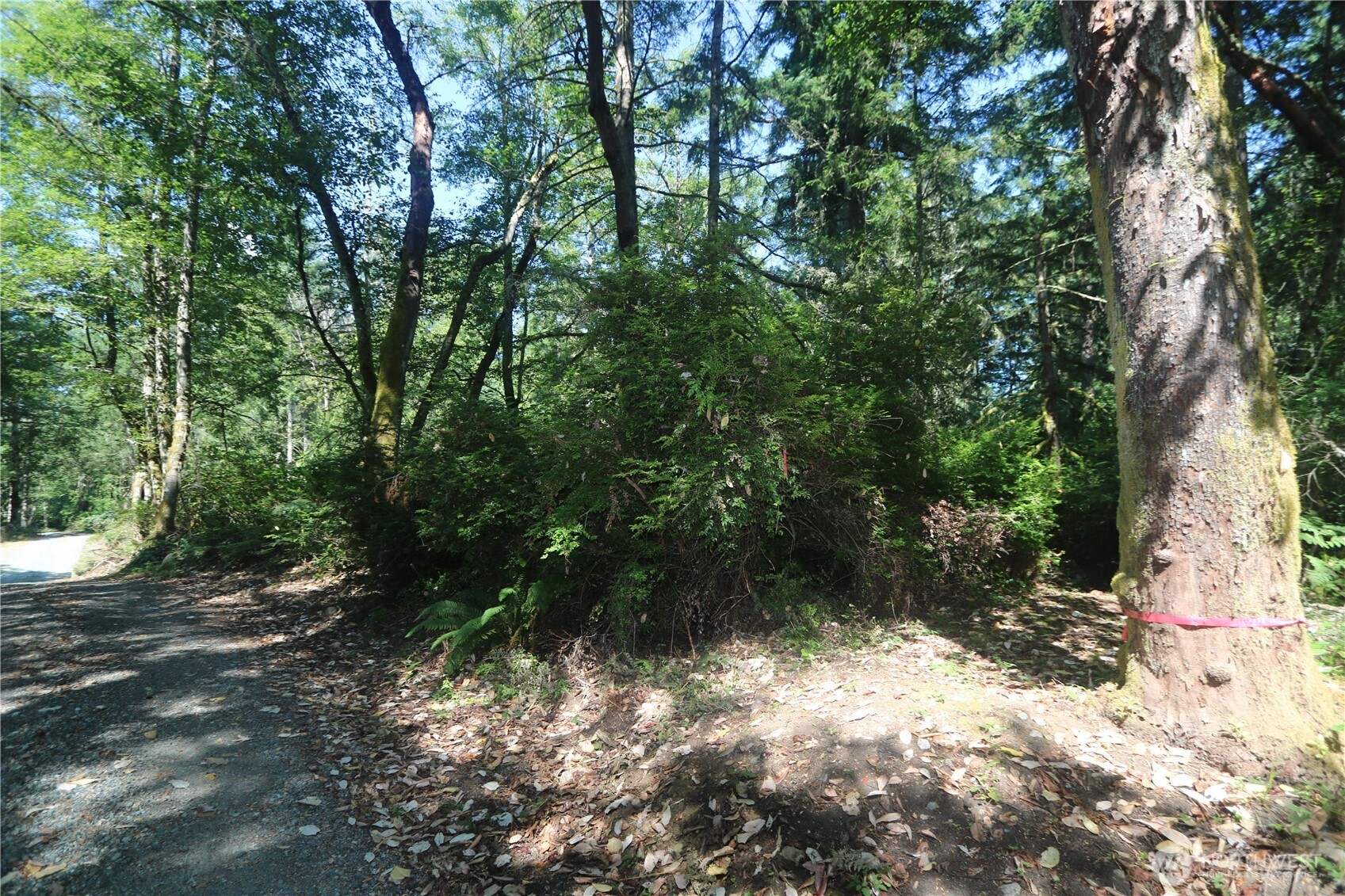 28686 141st Avenue Property Photo 7