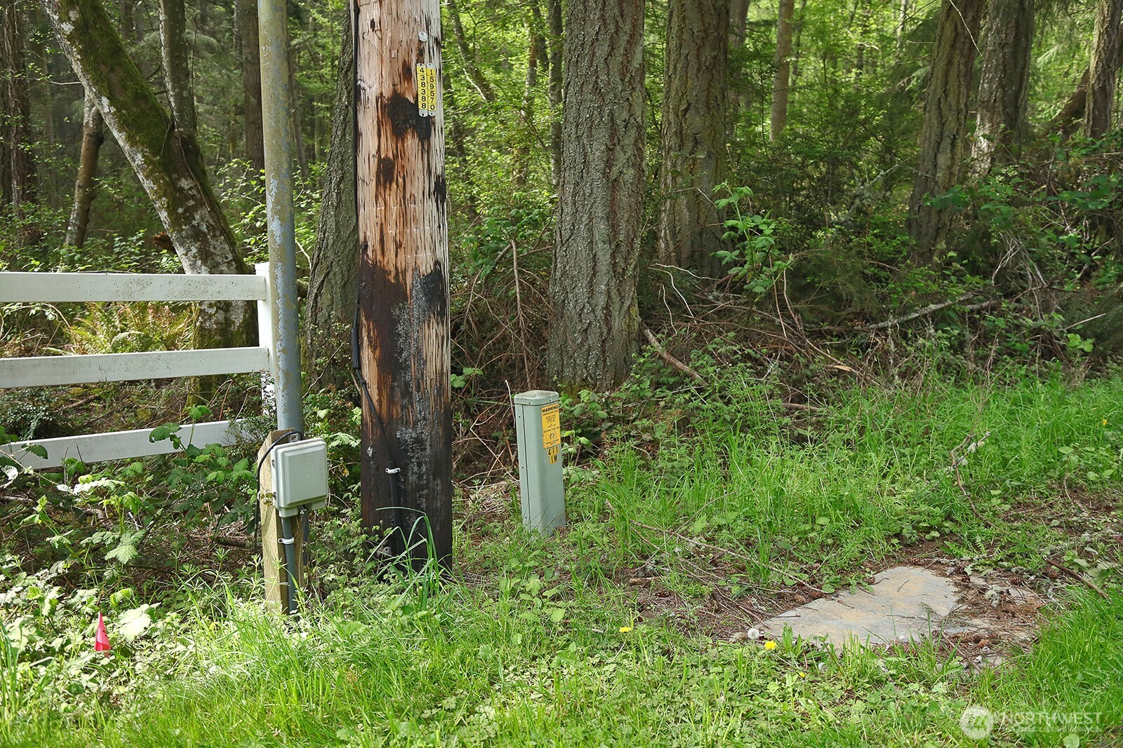 0 Xxx Goss Lake Road Property Photo 2