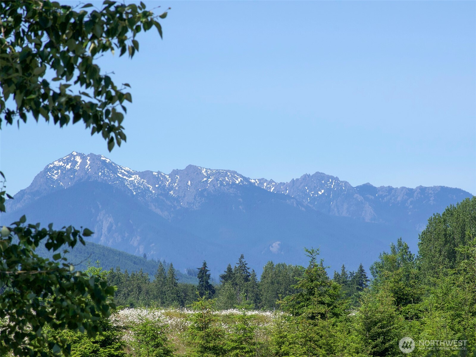 872 Still Road Property Photo 3