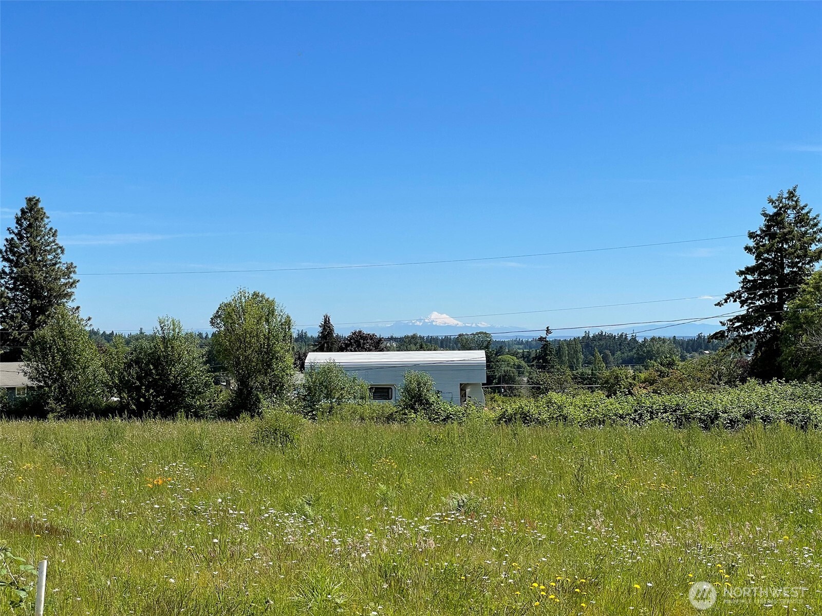 872 Still Road Property Photo 5