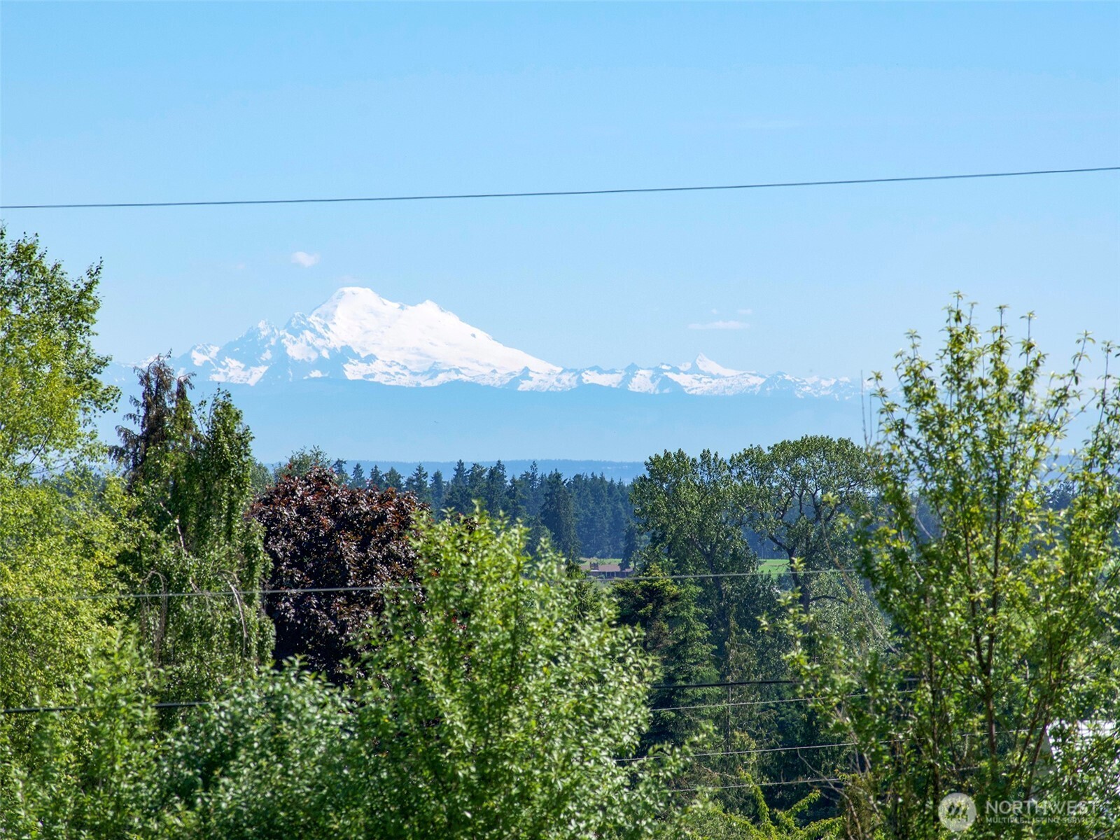 872 Still Road Property Photo 6
