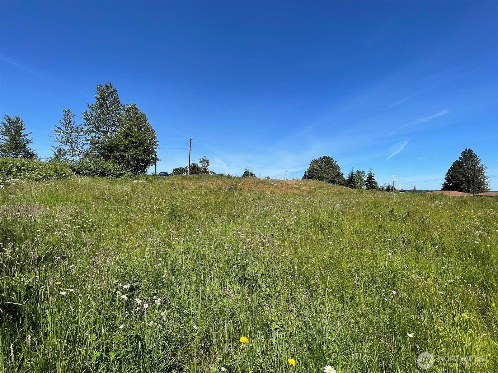 872 Still Road Property Photo 10