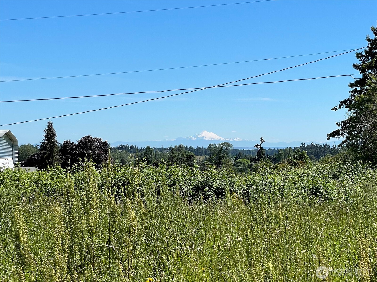 872 Still Road Property Photo 11