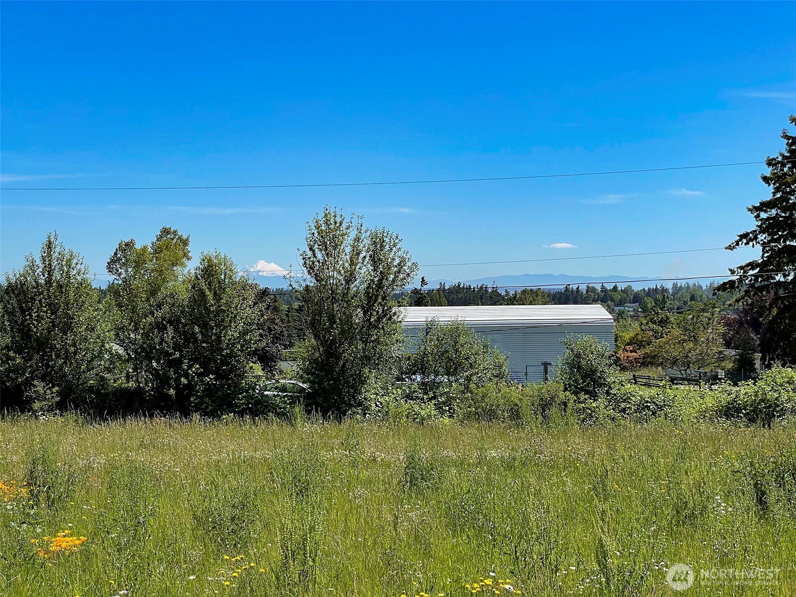 862 Still Road Property Photo 3