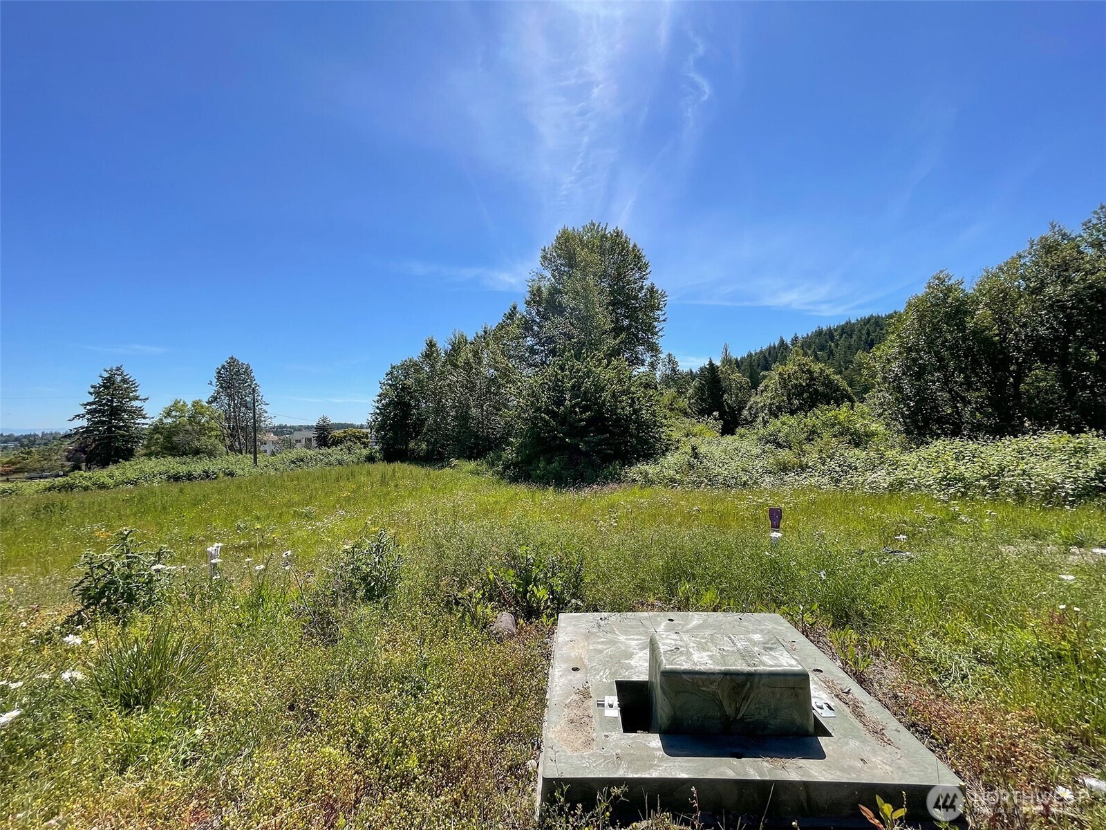 862 Still Road Property Photo 10