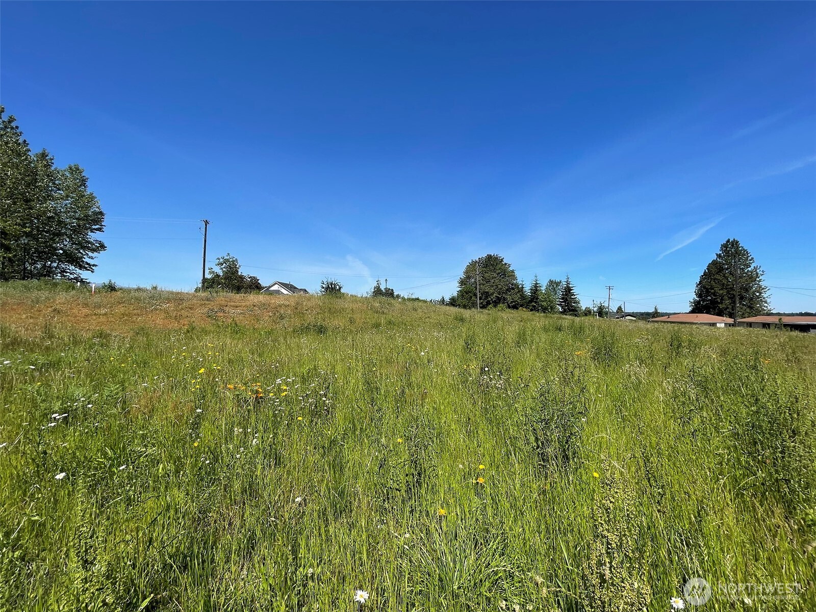 862 Still Road Property Photo 11