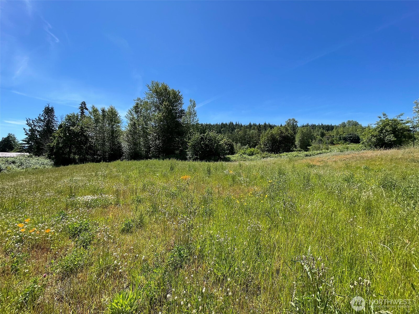862 Still Road Property Photo 13