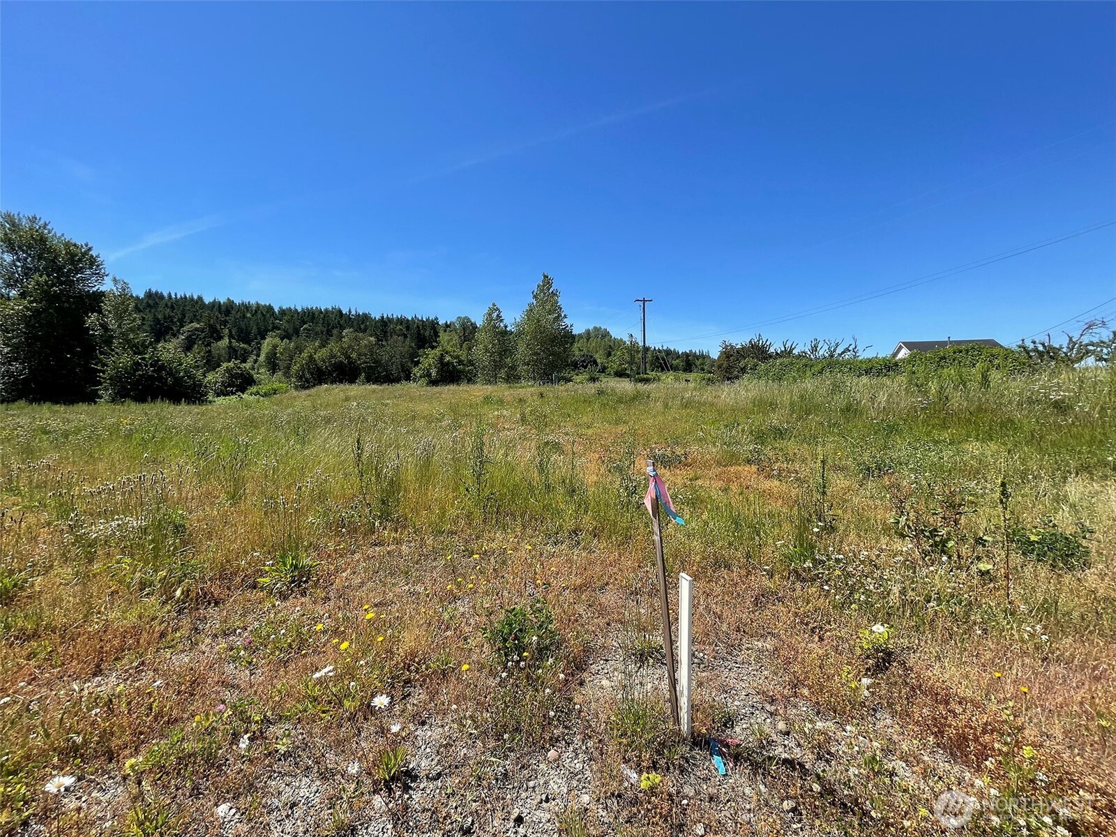 842 Still Road Property Photo 5