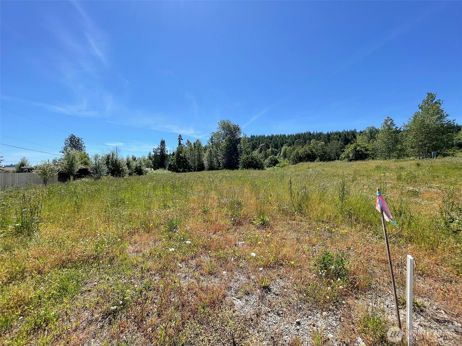 842 Still Road Property Photo 6