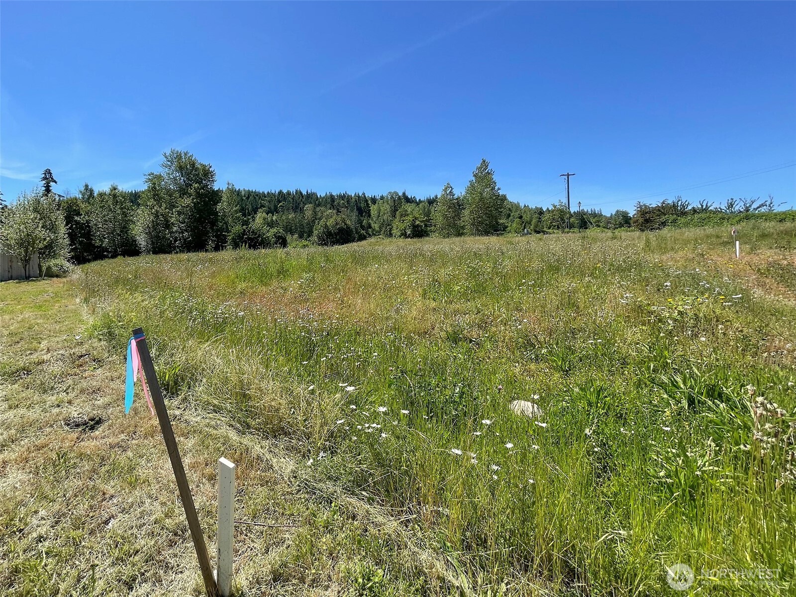 842 Still Road Property Photo 7
