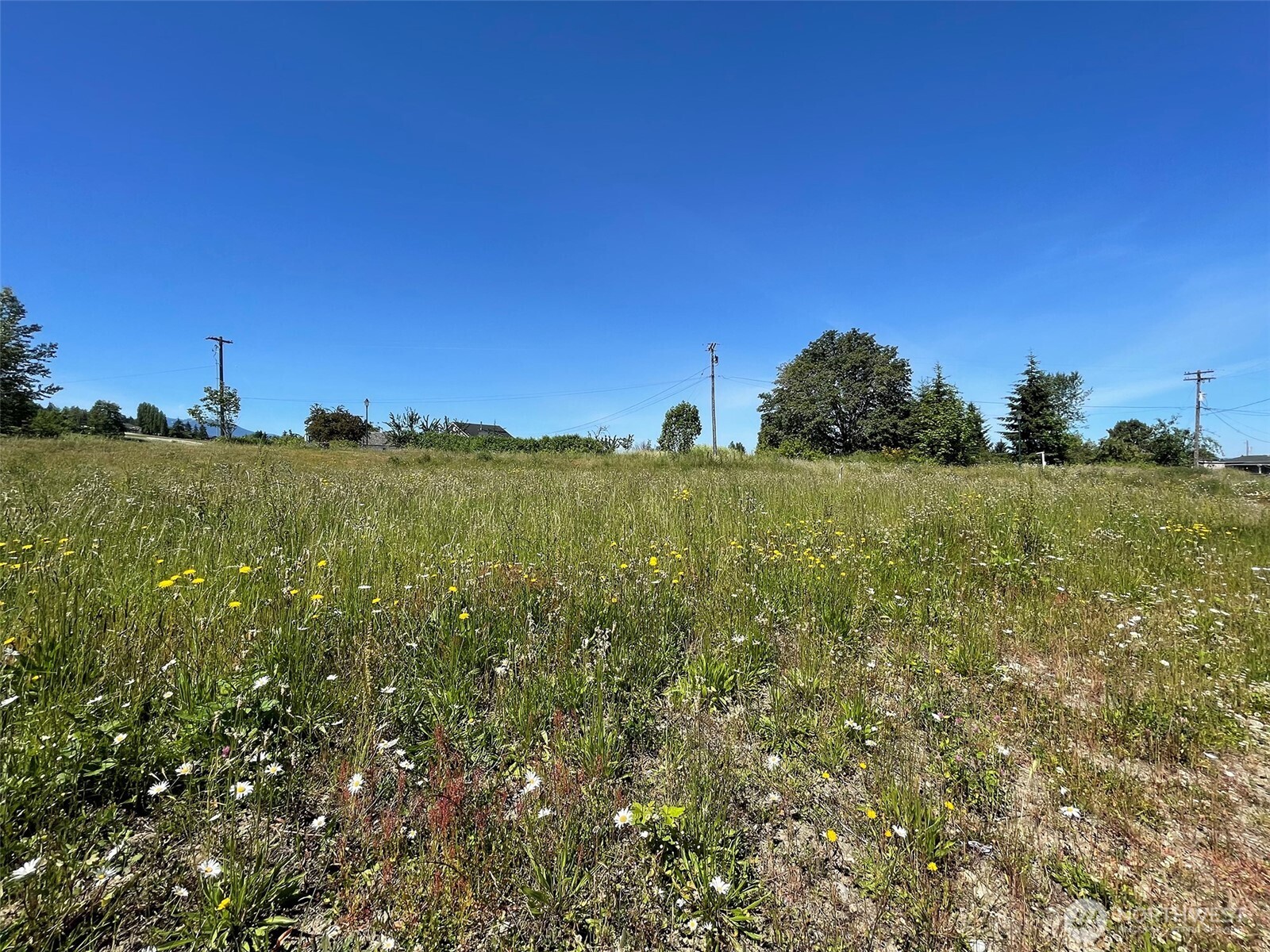842 Still Road Property Photo 8