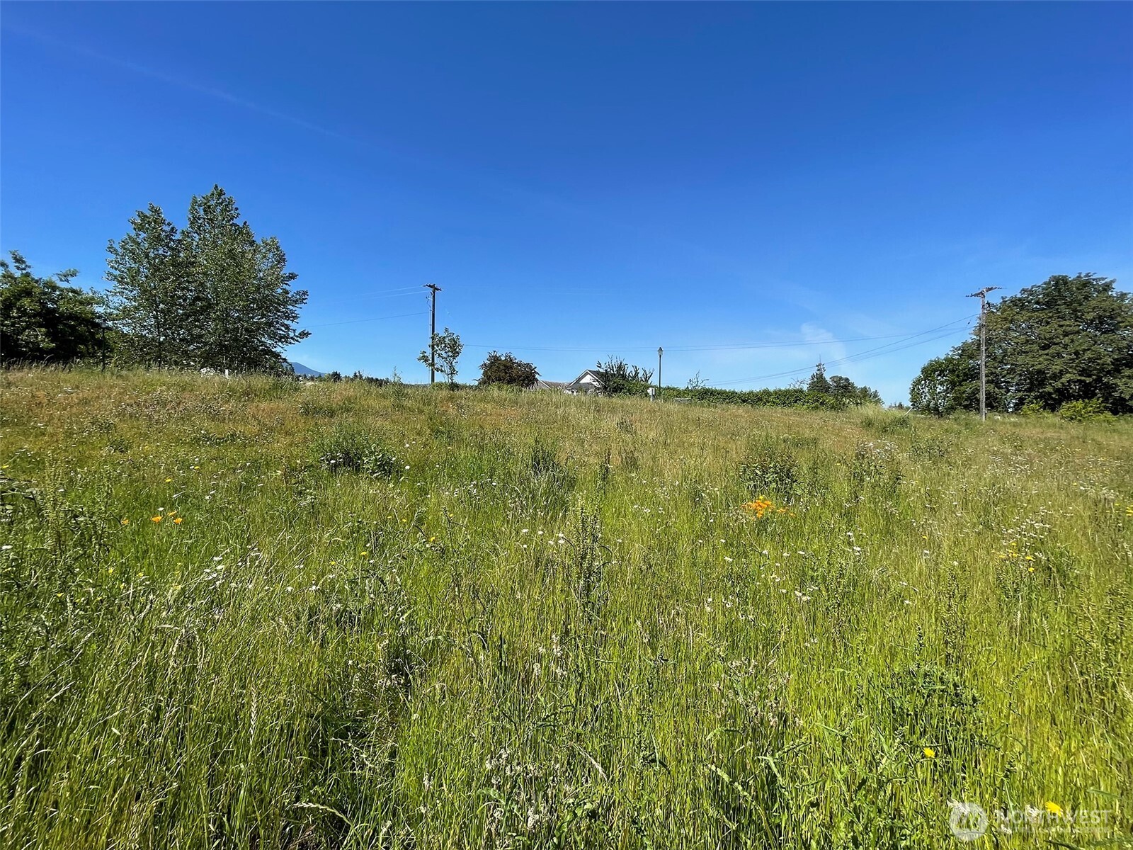 852 Still Road Property Photo 8