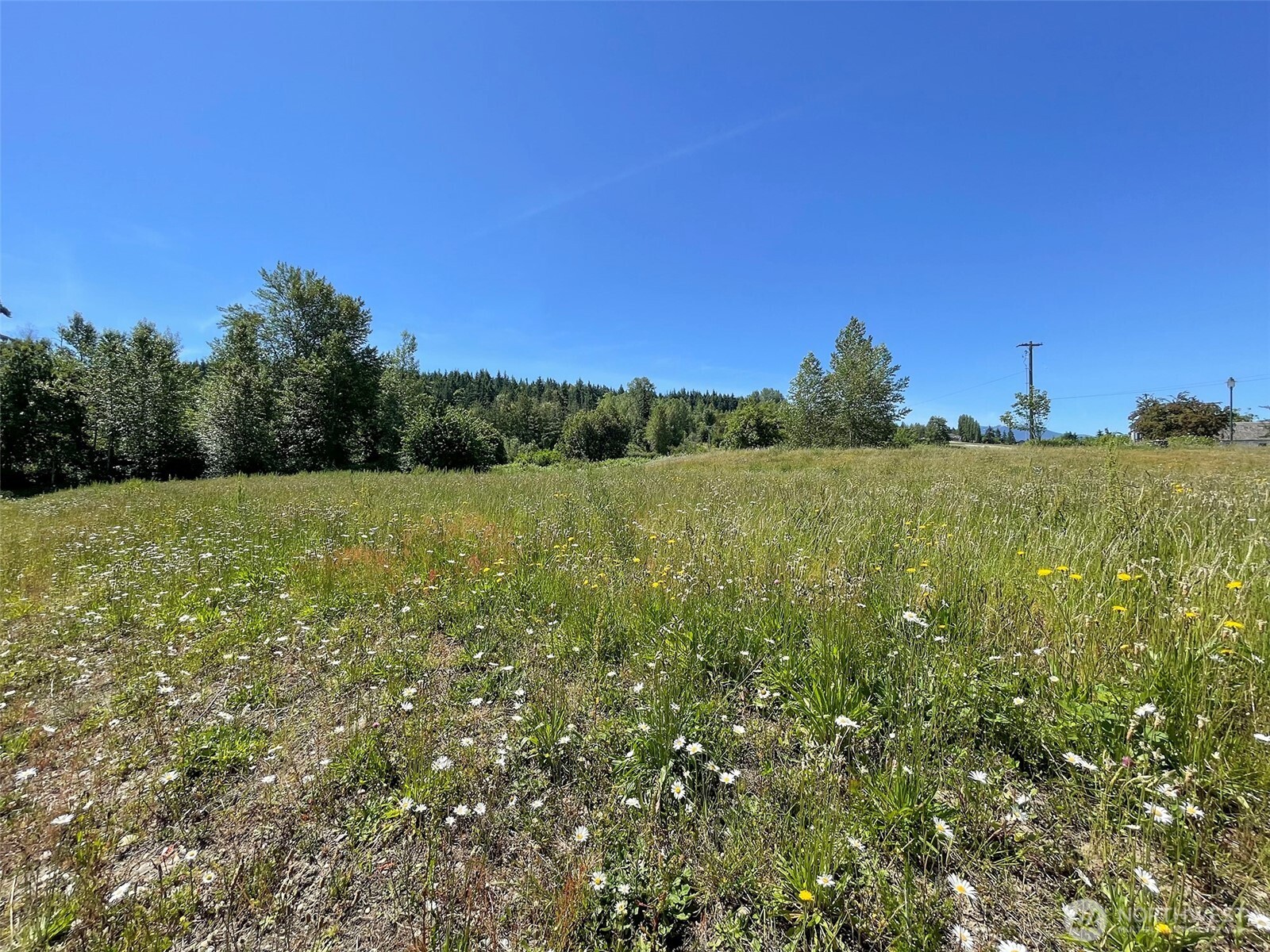852 Still Road Property Photo 12