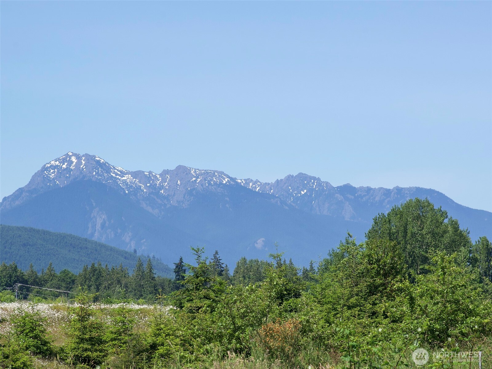 852 Still Road Property Photo 15