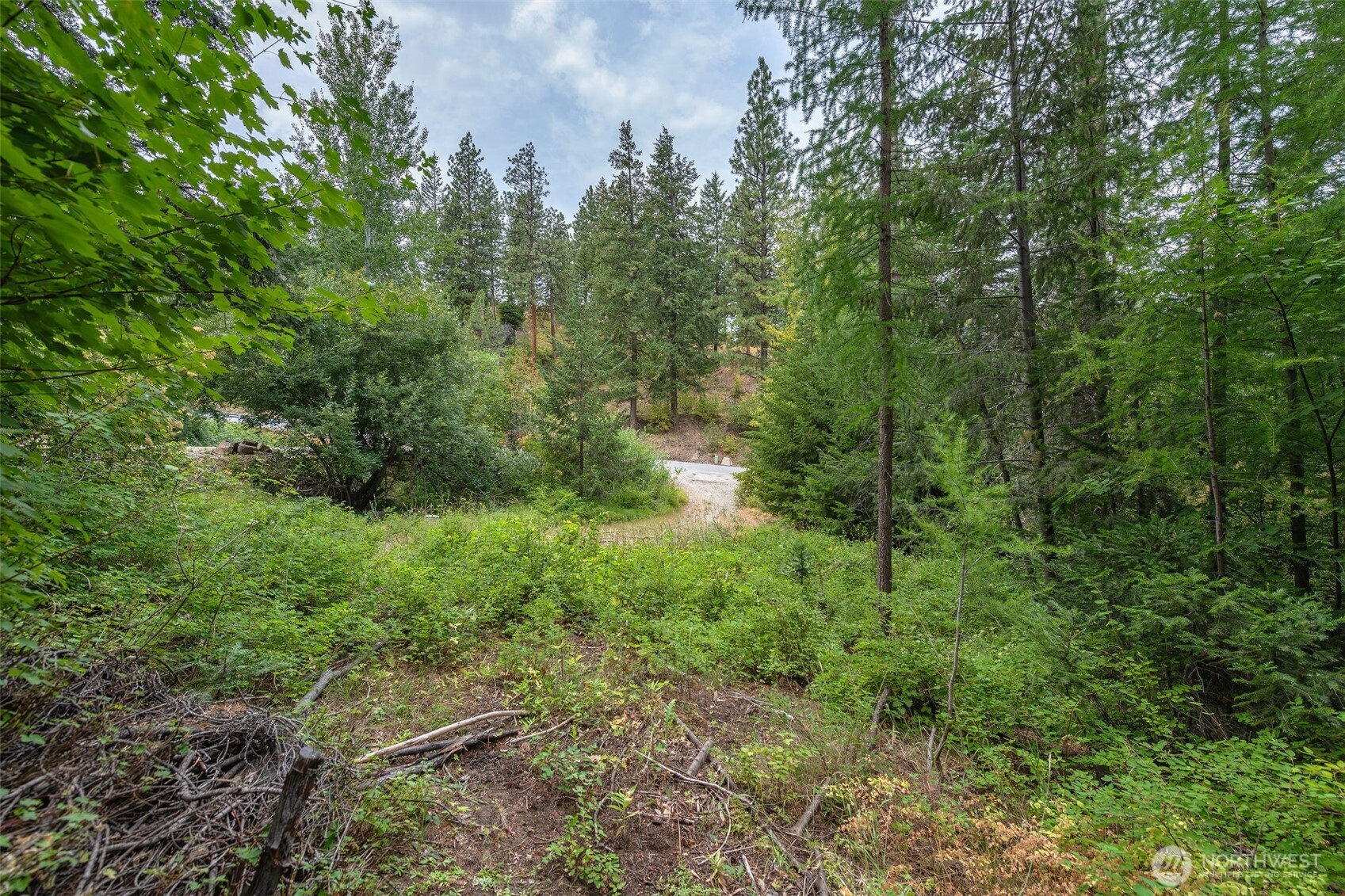 6409 Forest Ridge Drive Property Photo 3