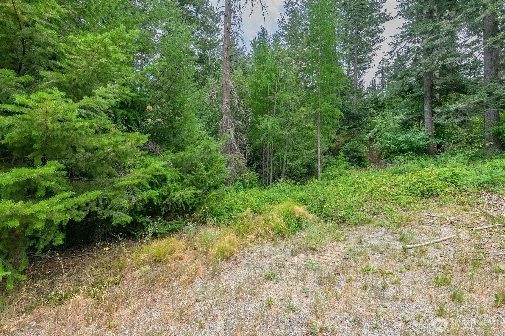 6409 Forest Ridge Drive Property Photo 5