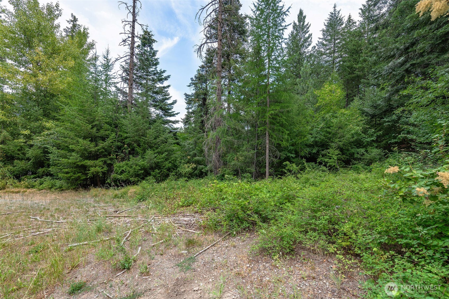 6409 Forest Ridge Drive Property Photo 6