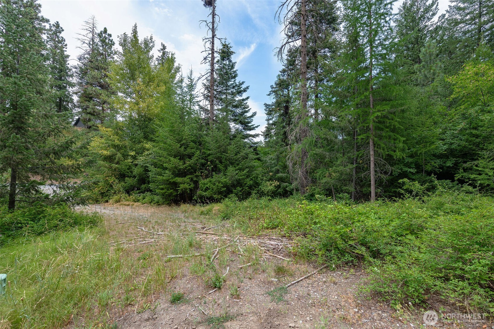 6409 Forest Ridge Drive Property Photo 7
