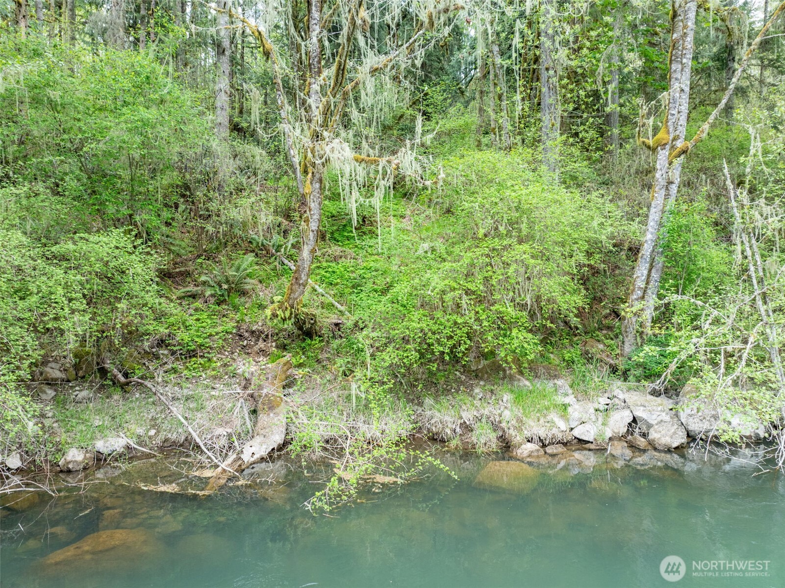 124 Raydel Drive Property Photo 13