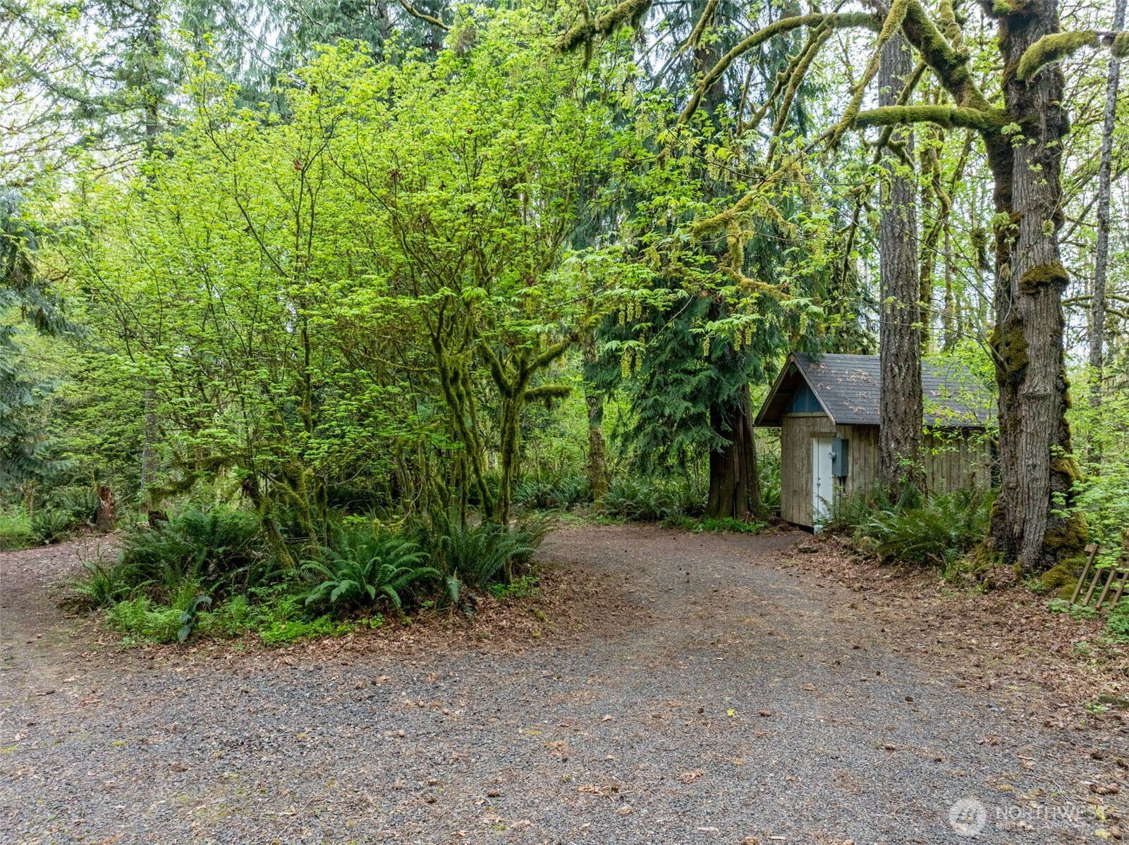 124 Raydel Drive Property Photo 26