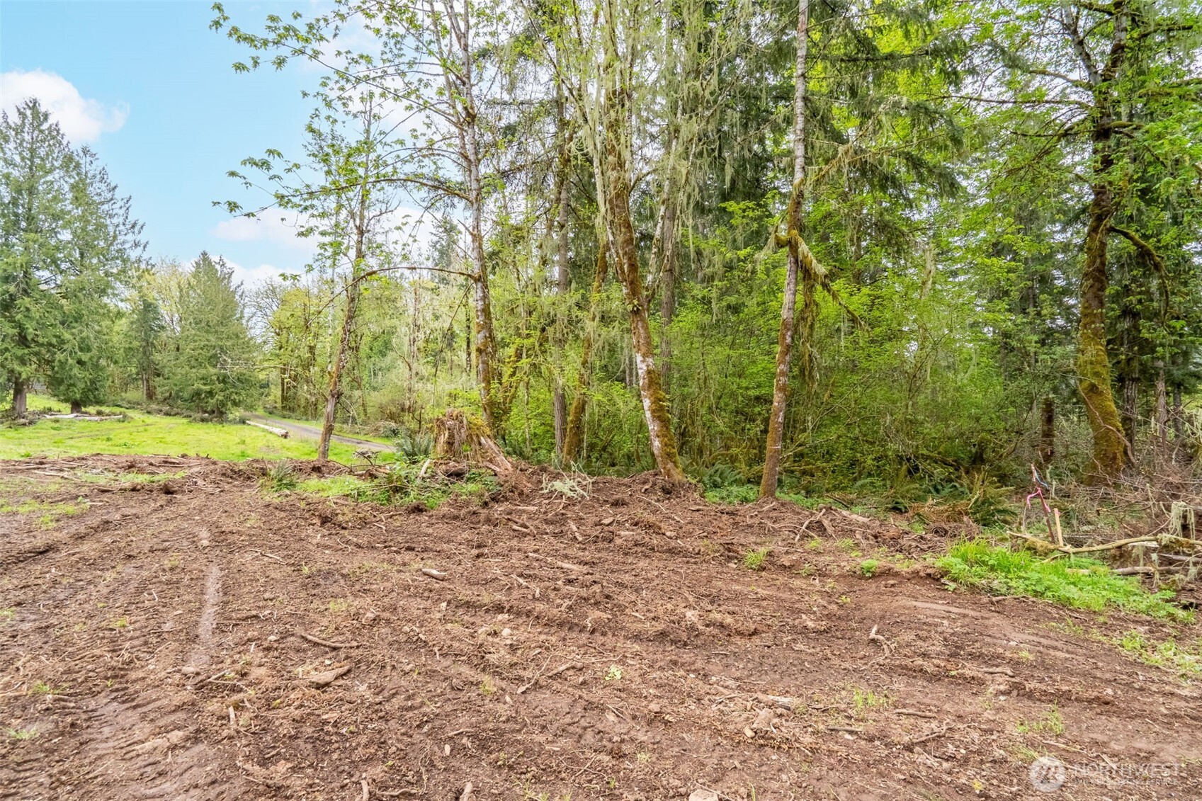124 Raydel Drive Property Photo 31