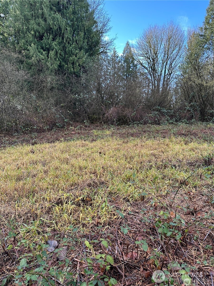 0 121st Avenue Property Photo 3