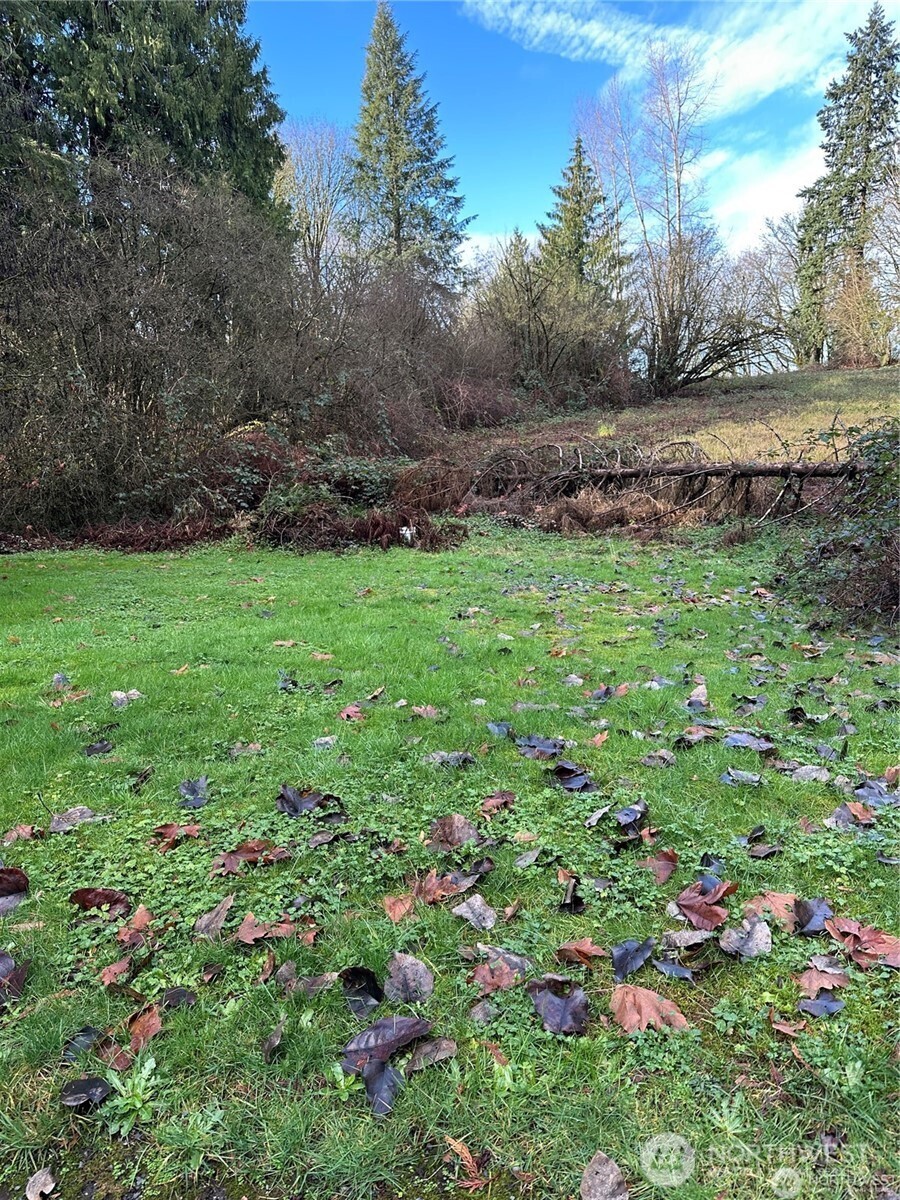 0 121st Avenue Property Photo 9