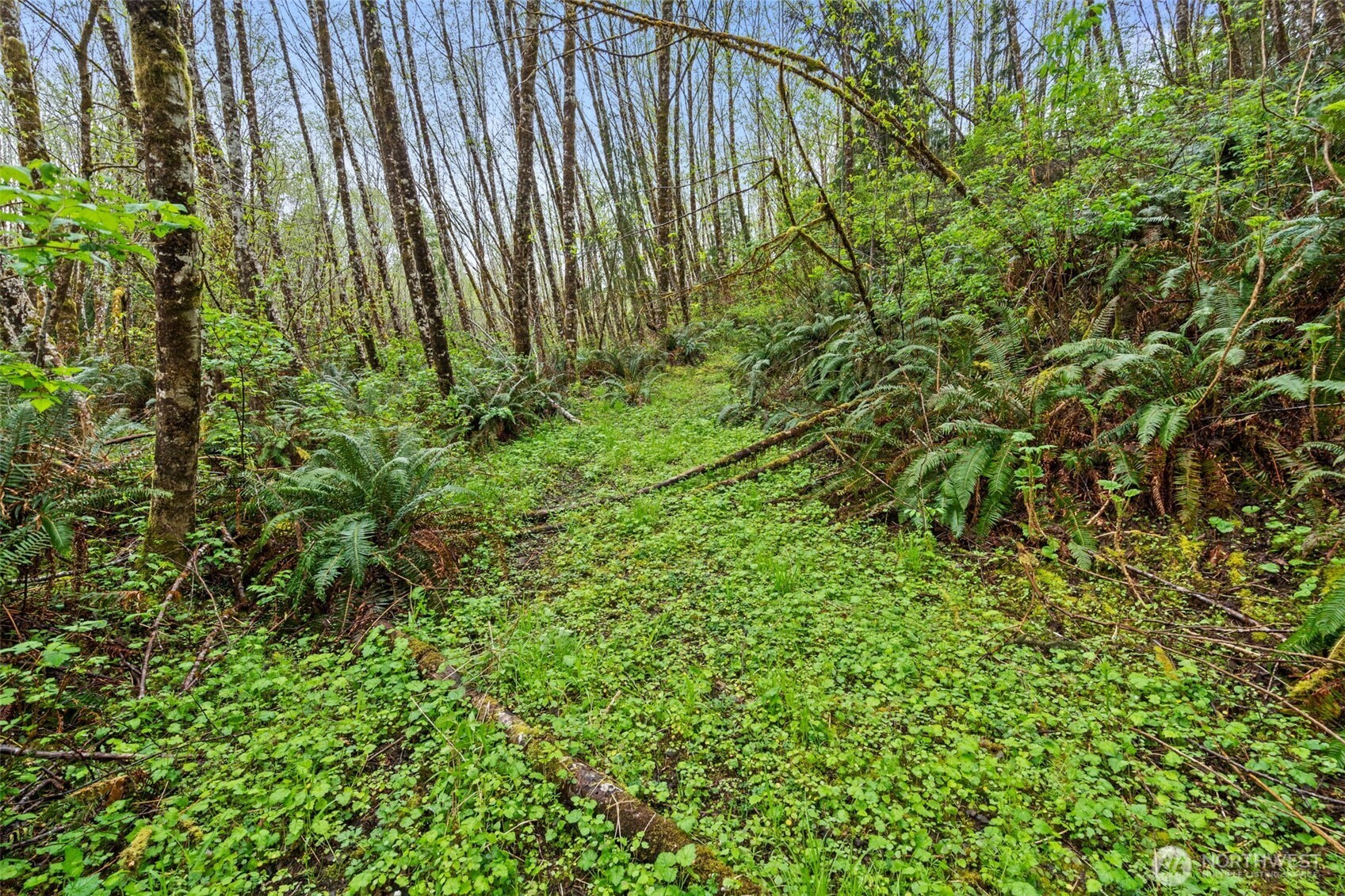 0 X State Route 107 Hwy Property Photo 10