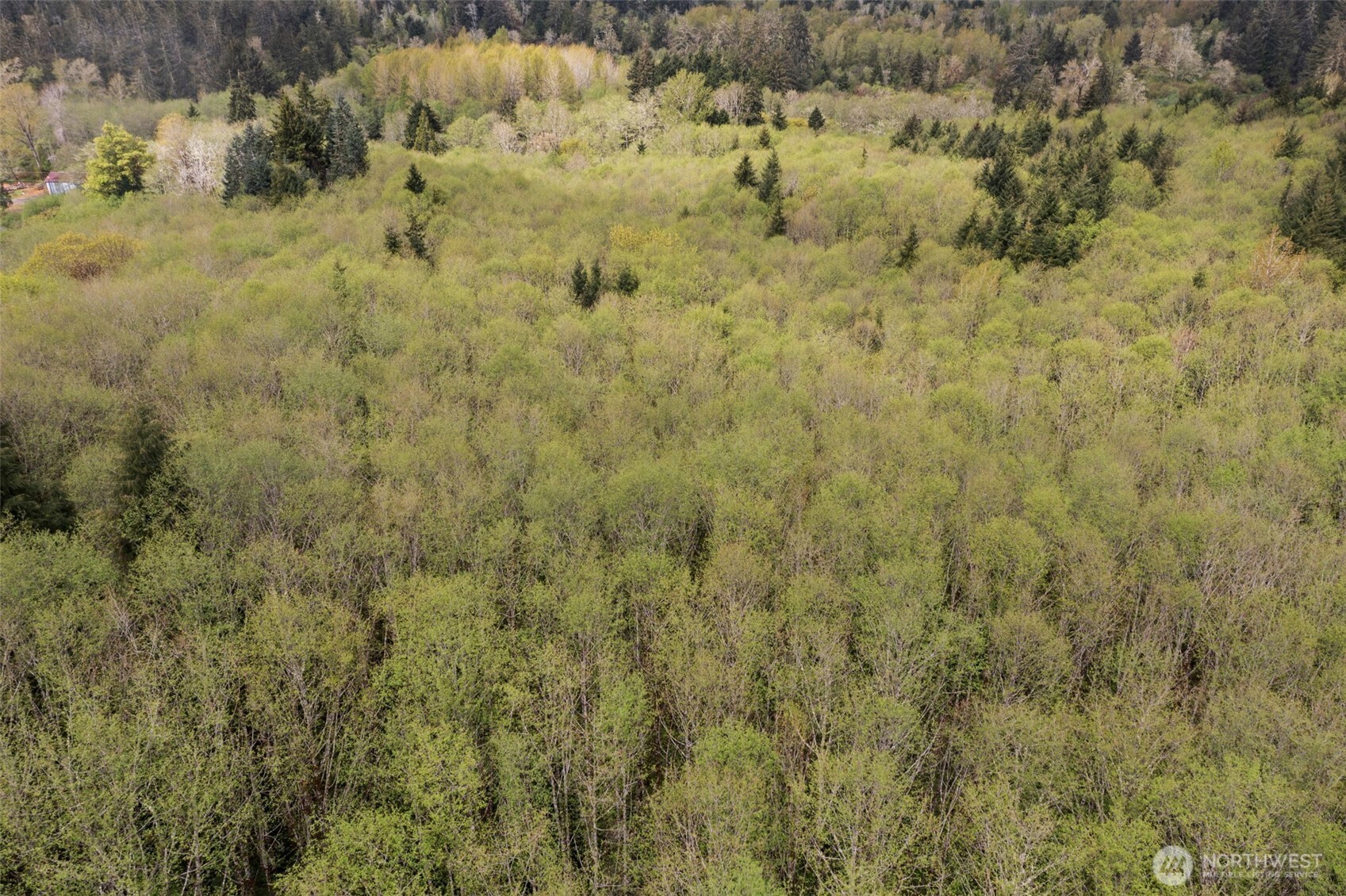 0 X State Route 107 Hwy Property Photo 16