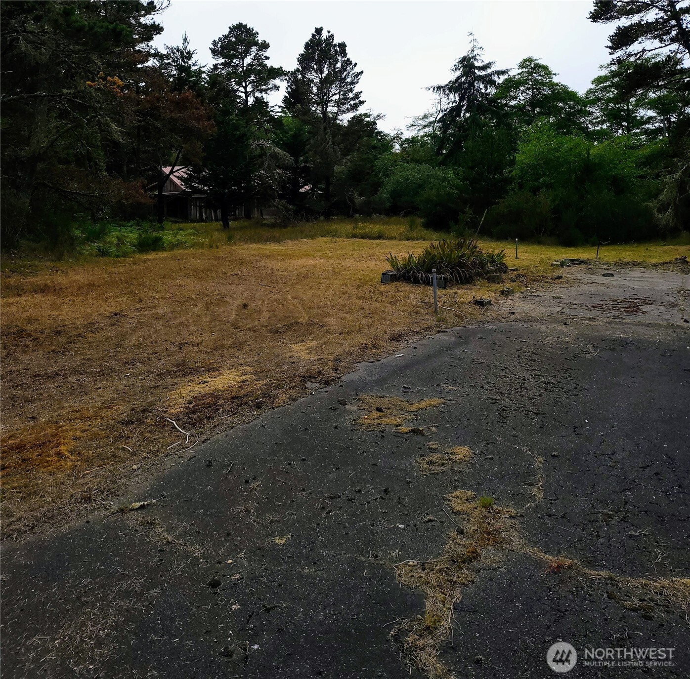 715 S Forrest Street Property Photo 5
