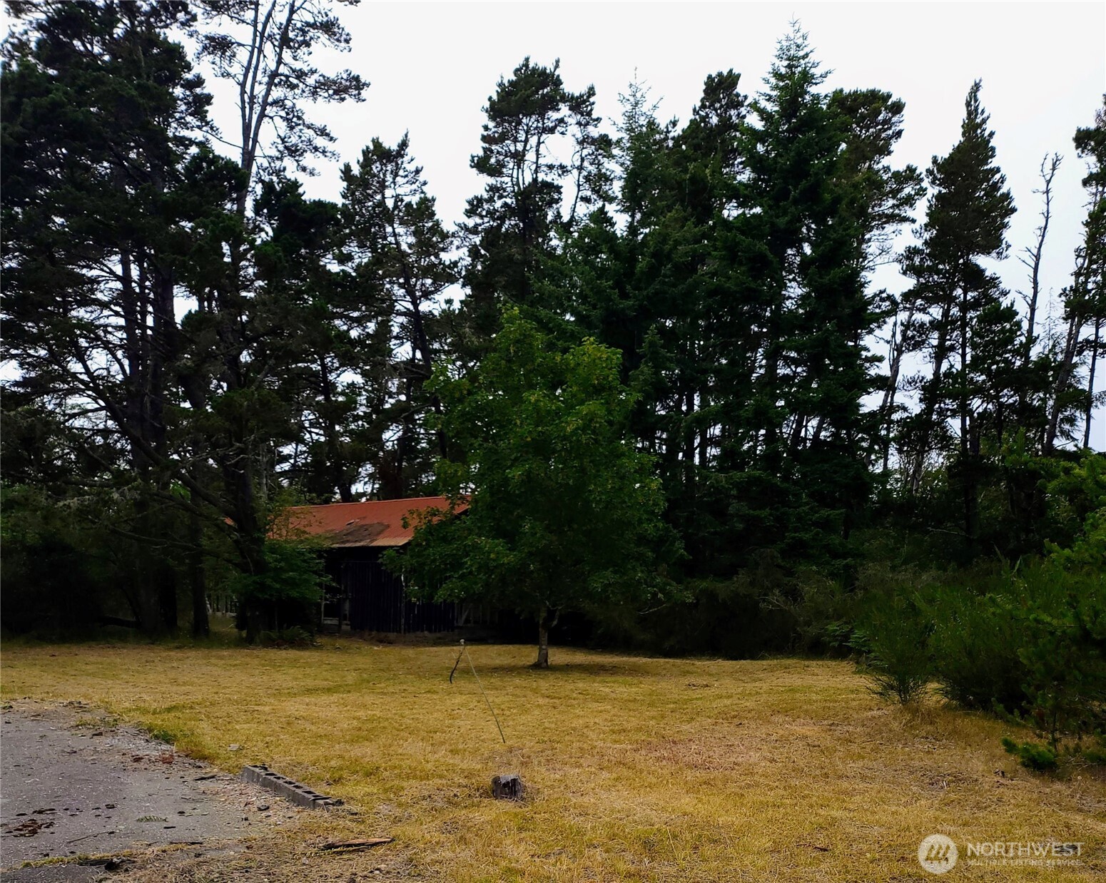 715 S Forrest Street Property Photo 7