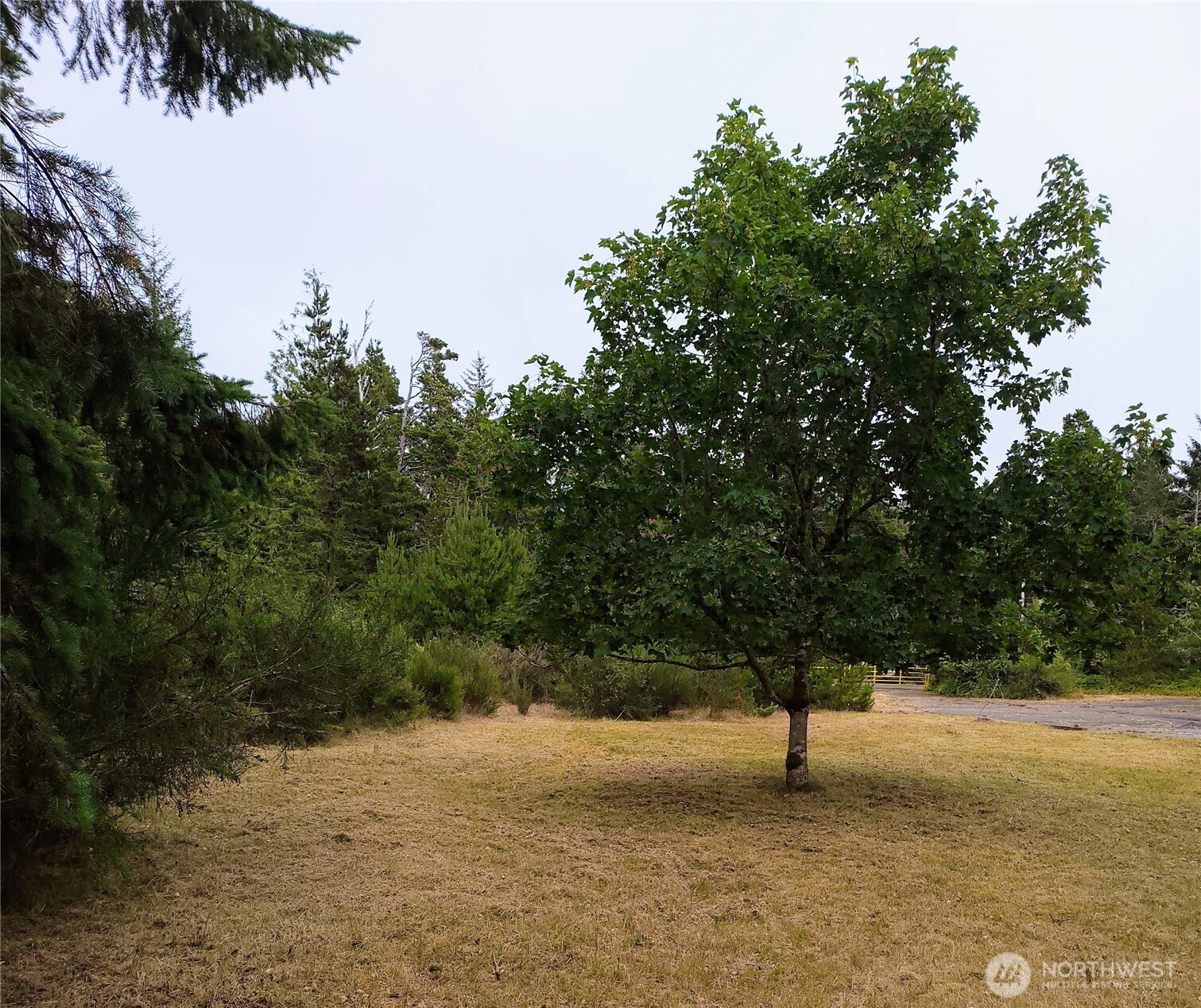 715 S Forrest Street Property Photo 9