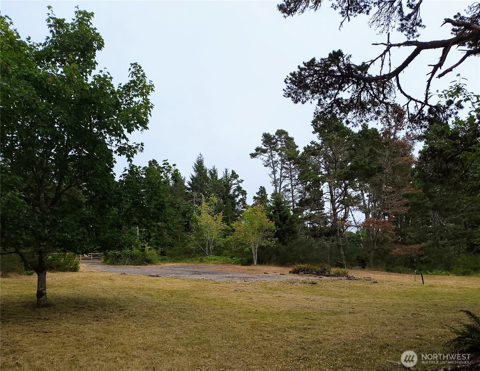 715 S Forrest Street Property Photo 10