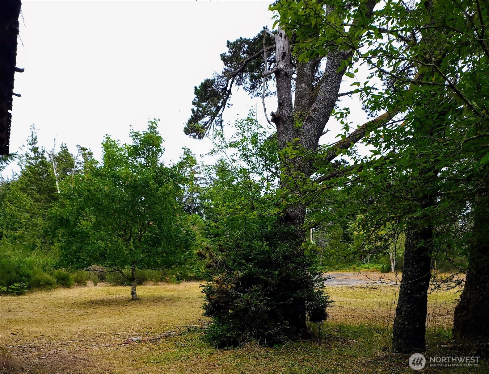 715 S Forrest Street Property Photo 14