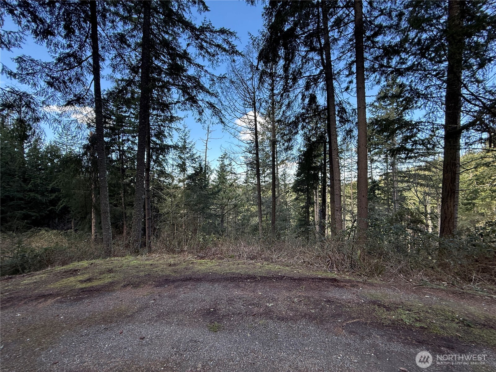 1546 Reservation Road 124 Property Photo 4