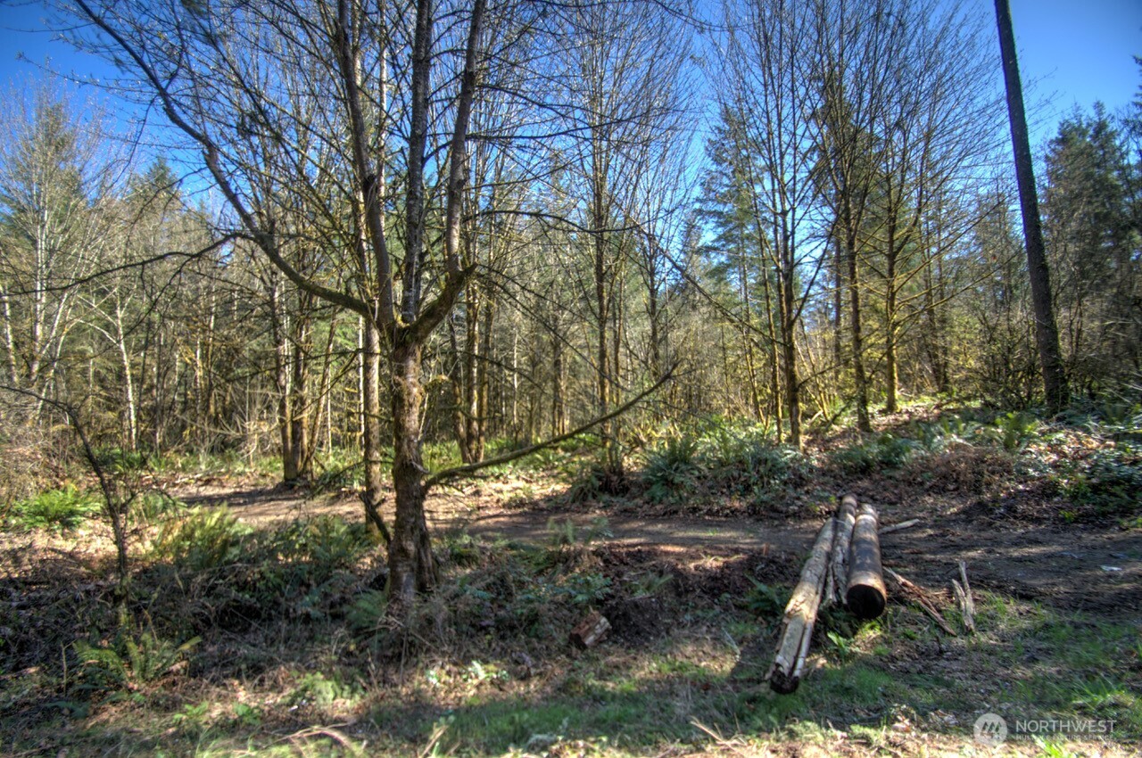 0 Delphi Road Property Photo 8