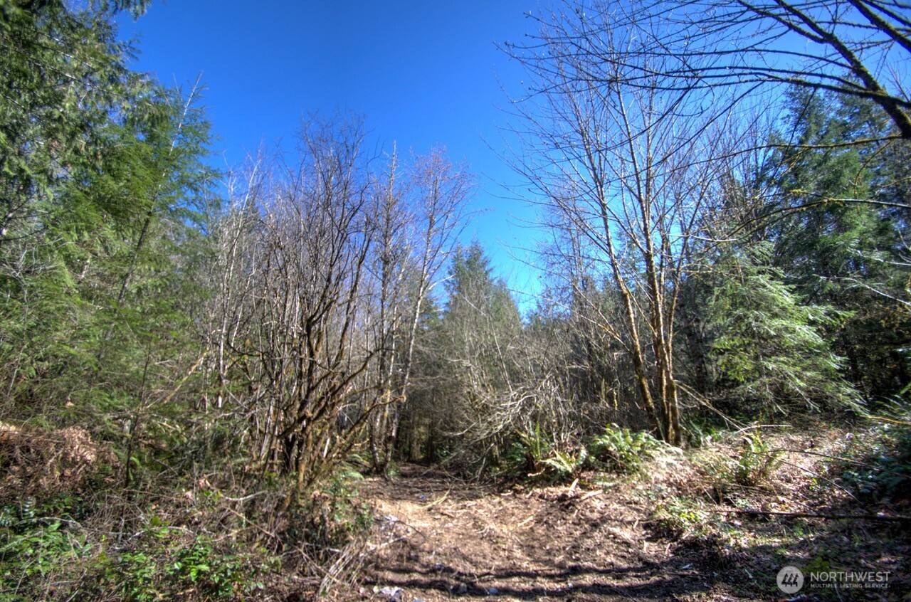 0 Delphi Road Property Photo 12