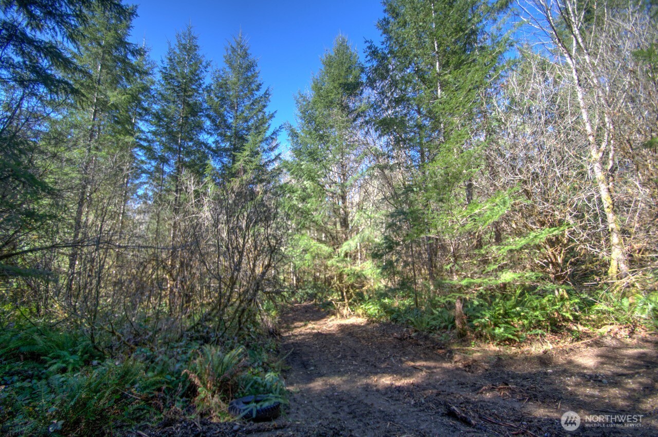 0 Delphi Road Property Photo 13