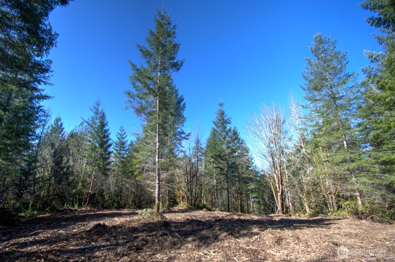 0 Delphi Road Property Photo 15