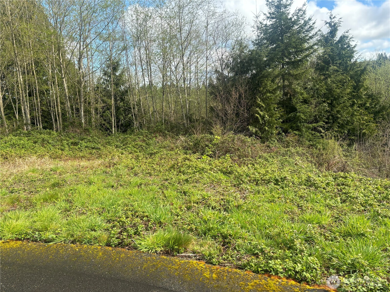 10 Timber Lane Property Photo 1