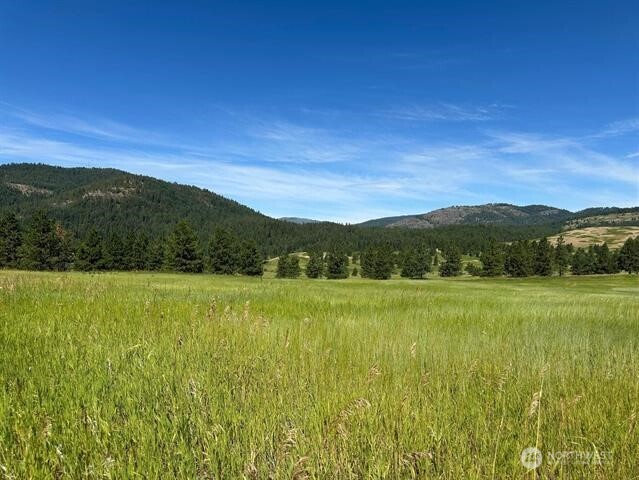 1239 Kewa Meteor Road Property Photo 26