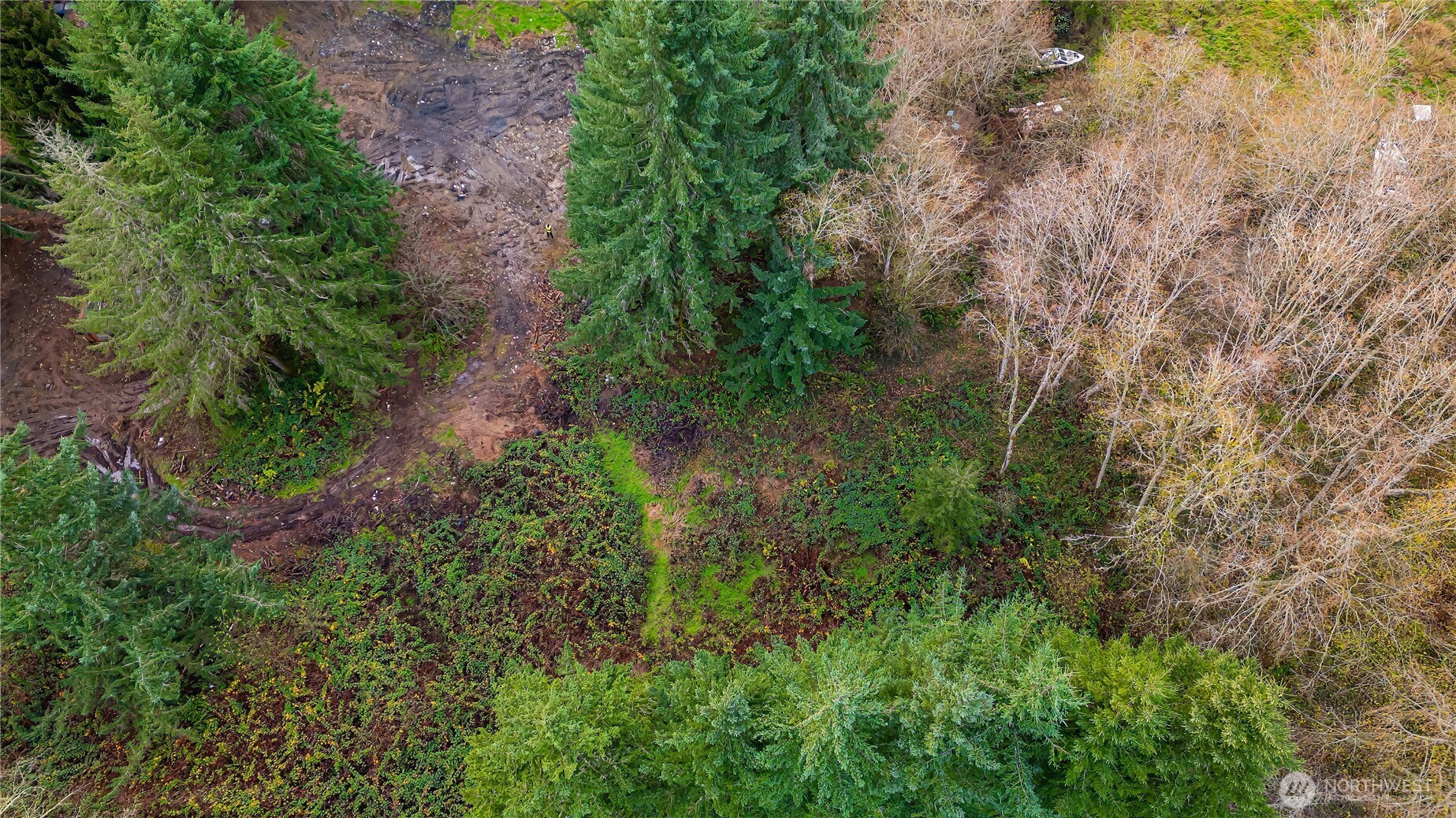 3502 40th Ave Se Property Photo 14