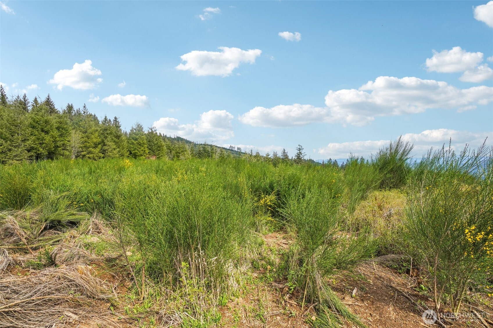 181 High Bank Lane Property Photo 17