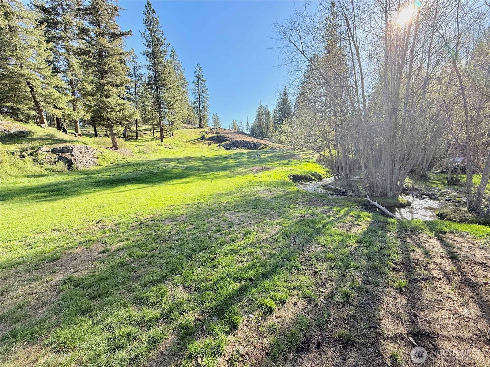 1092 Aeneas Valley Road Property Photo 14