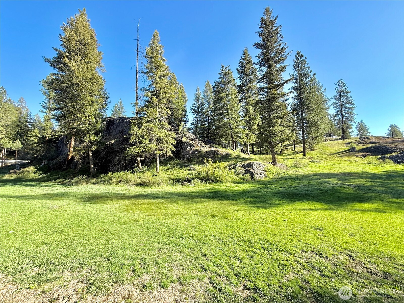 1092 Aeneas Valley Road Property Photo 15