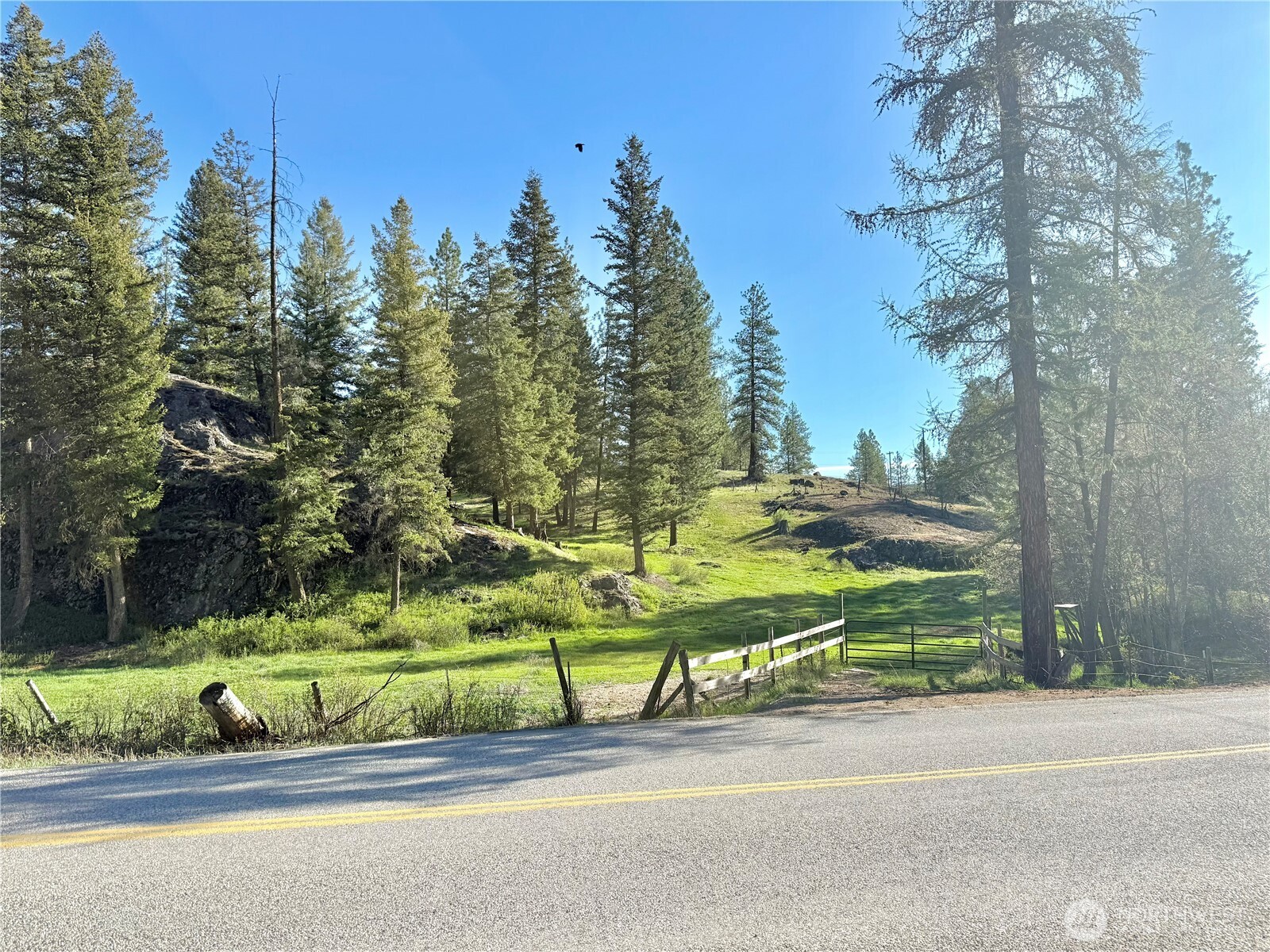 1092 Aeneas Valley Road Property Photo 17