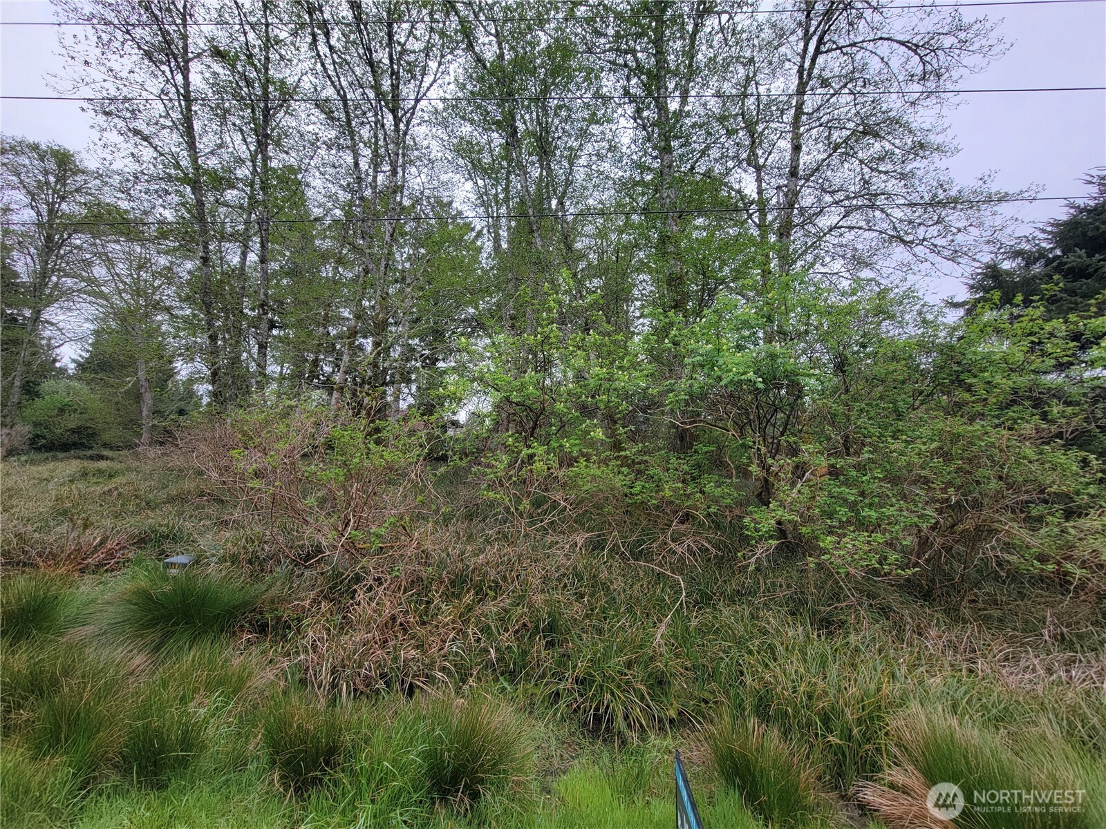 789 Mount Olympus Avenue Property Photo 3