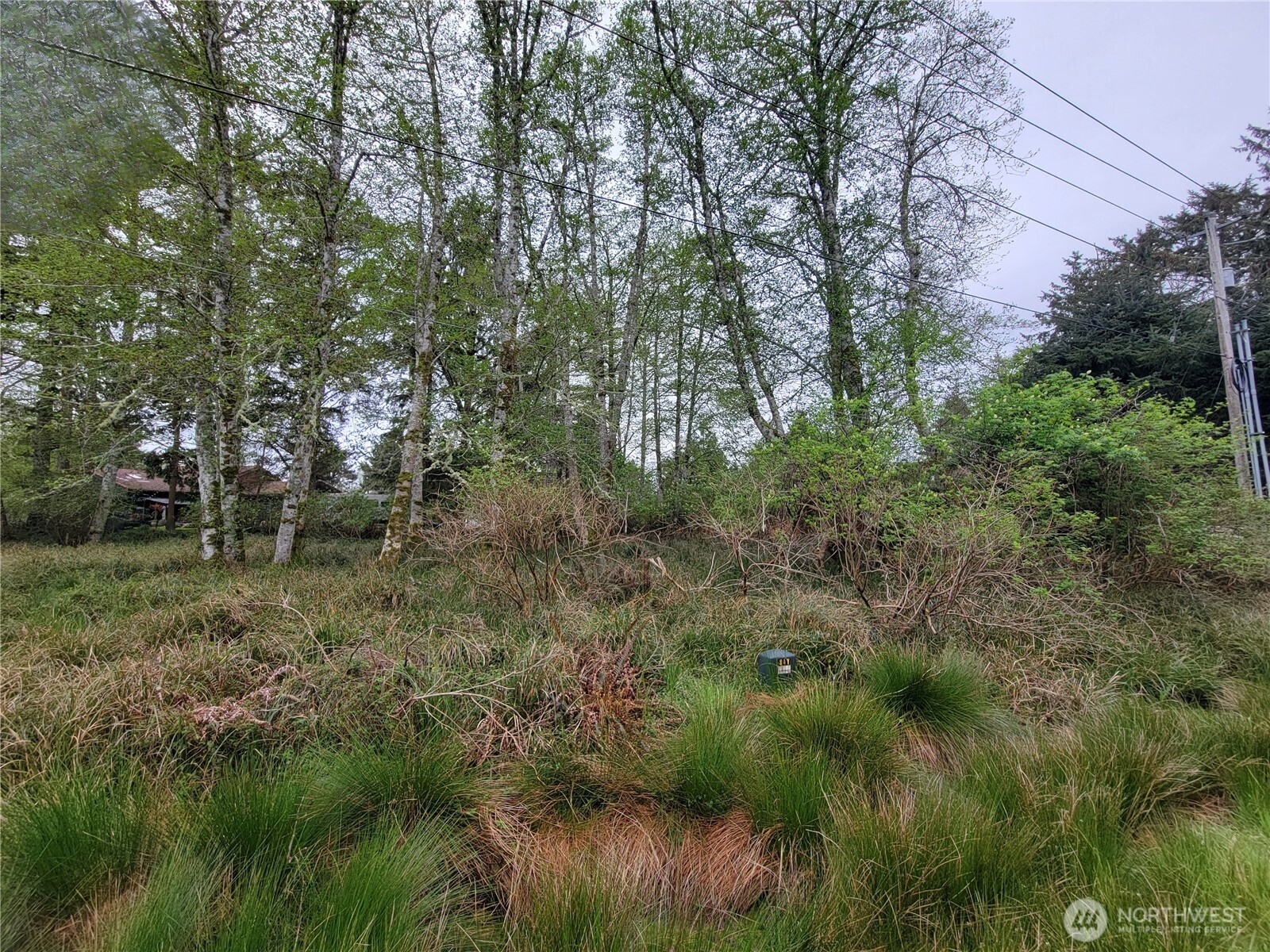 789 Mount Olympus Avenue Property Photo 4